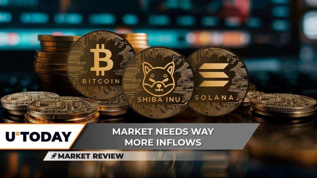 BTC Plunges $60K, SHIB Eyes 13% Drop, SOL Set for Growth from $135