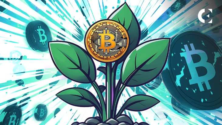 Experts Forecast: Dramatic Bitcoin Rally Ahead with Falling Spot Premium