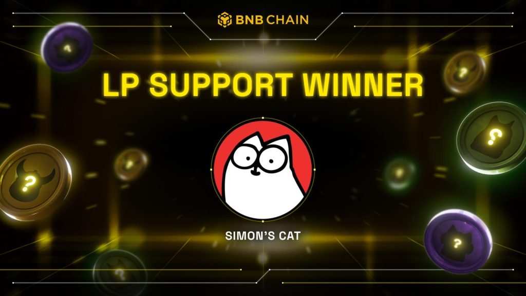 Discover Who Just Won BNB Chain's Meme Heroes LP Support - Surprising Winner Revealed!