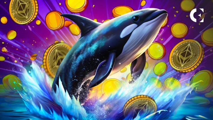 Whale's Bold Move: Snags 1,900 ETH in Just 4 Trades