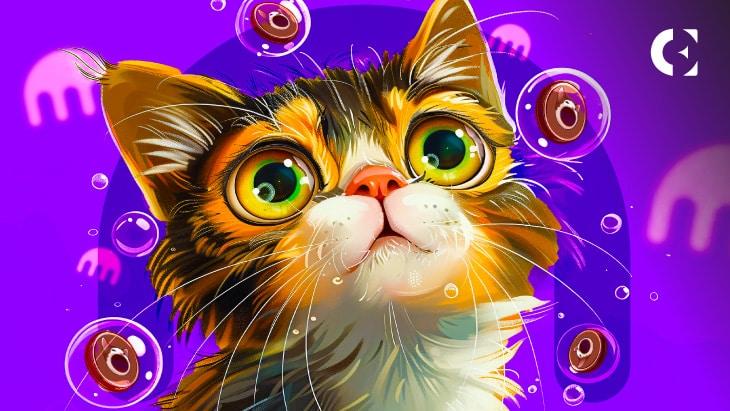 Will POPCAT's Move to Kraken Skyrocket or Plummet? Top Predictions Inside