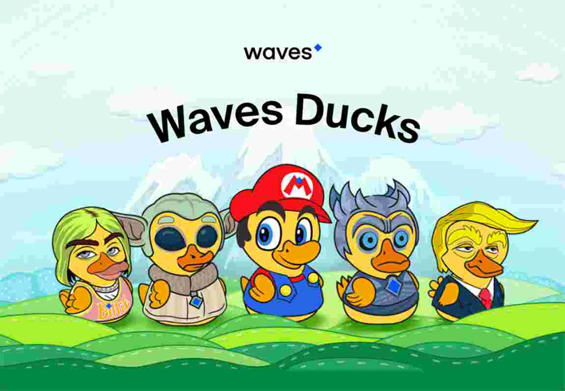 Waves Ducks – Spielrezension