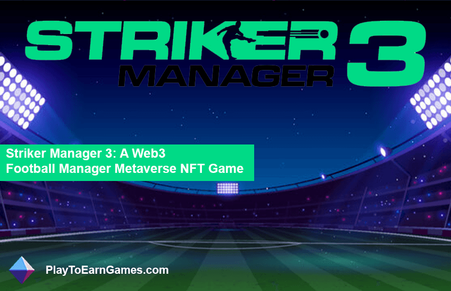 Striker Manager 3 – Spielübersicht